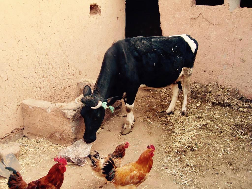 Dar Mouna La Source Ait Ben Haddou Bagian luar foto